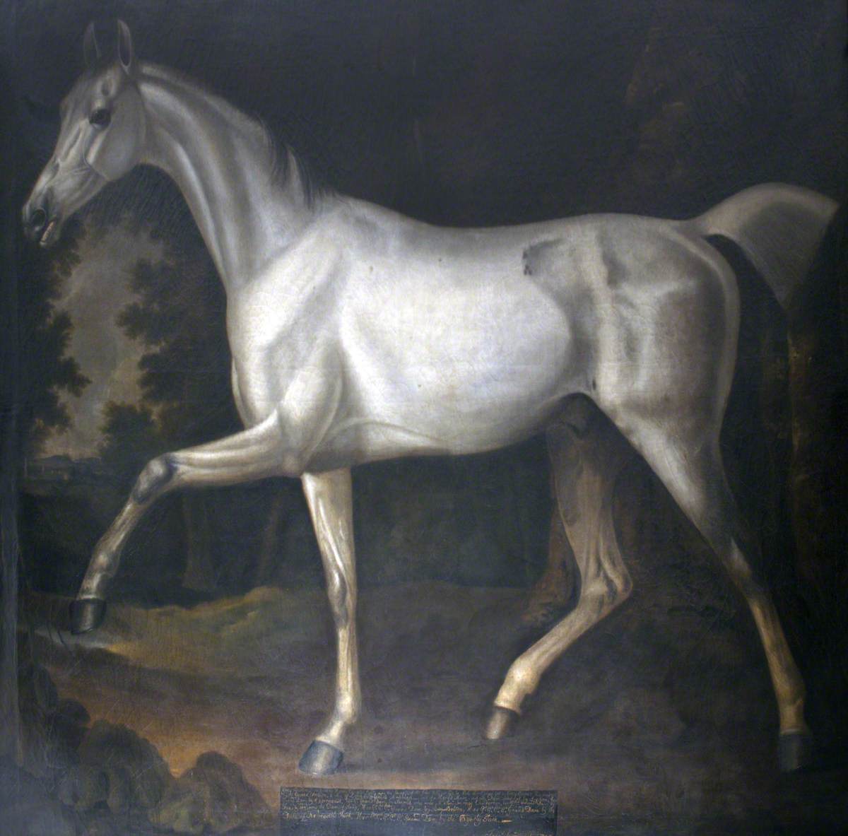 Francis Sartorius, 'Grey Bisten'