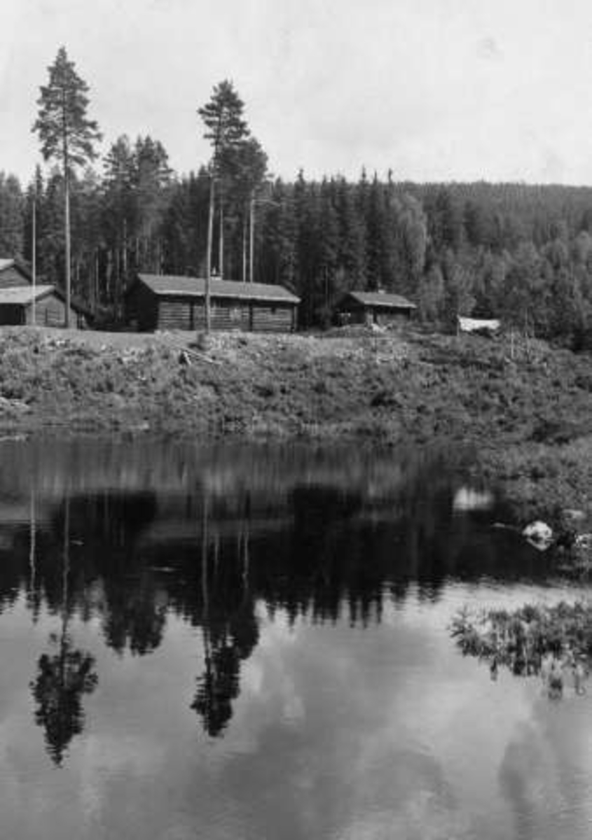 Anders Beer Wilse, -8373