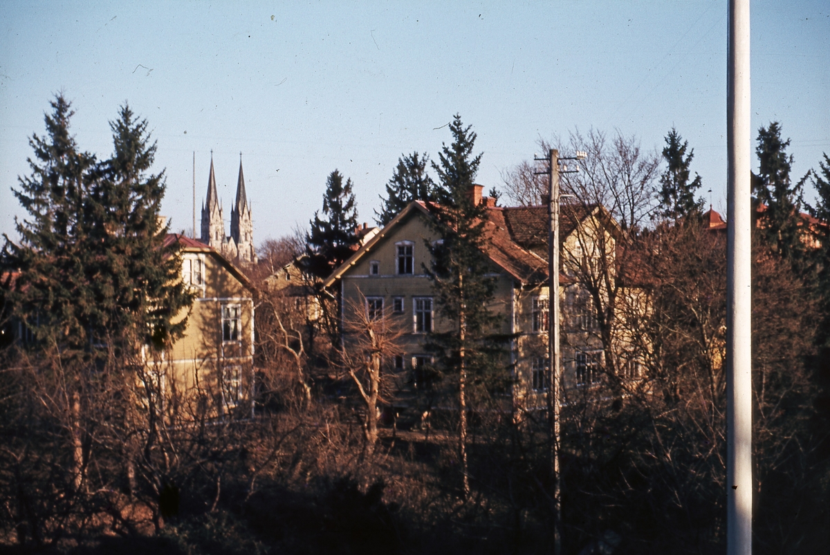 Egil Torgny, Stadsbild från Skara