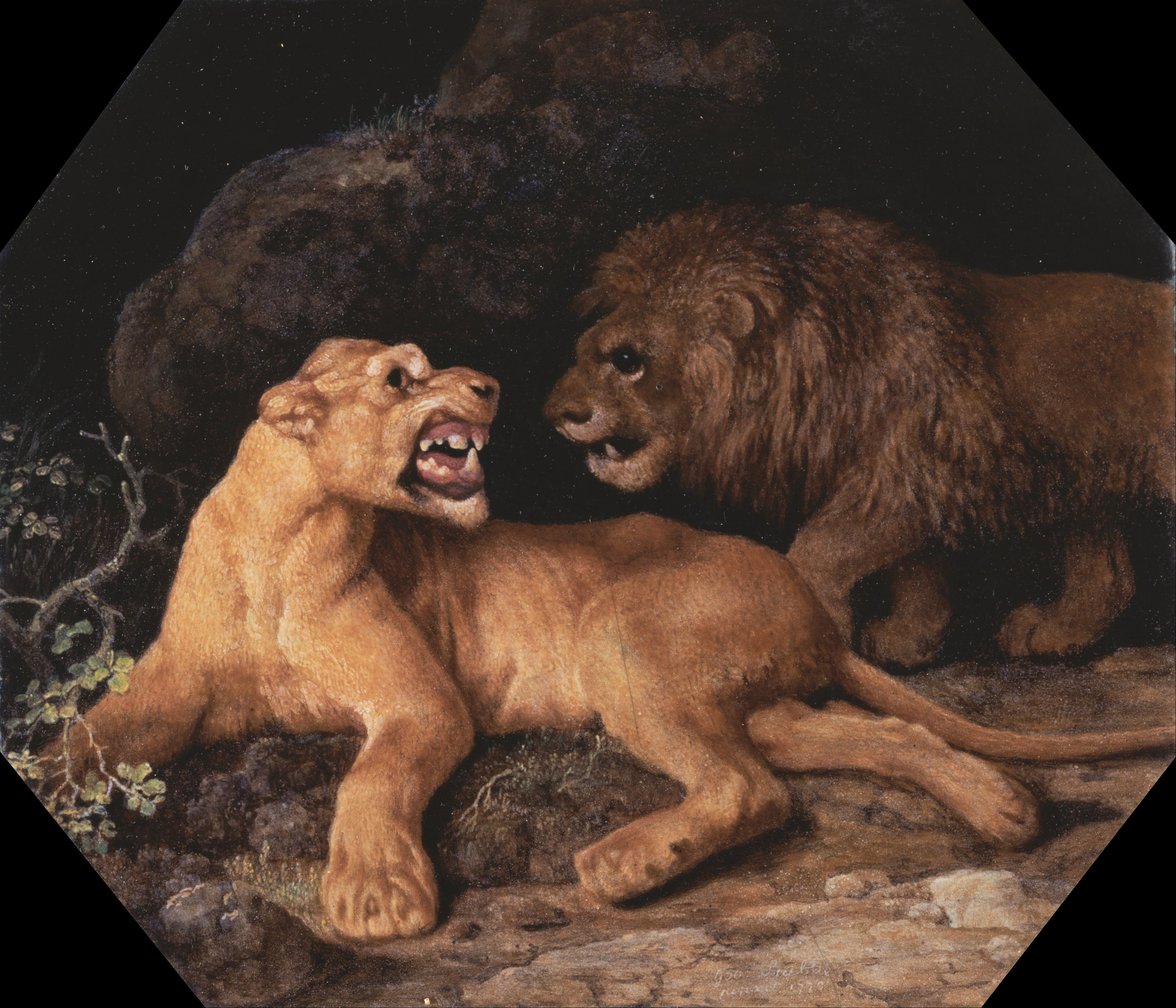 George Stubbs, Lion and Lione