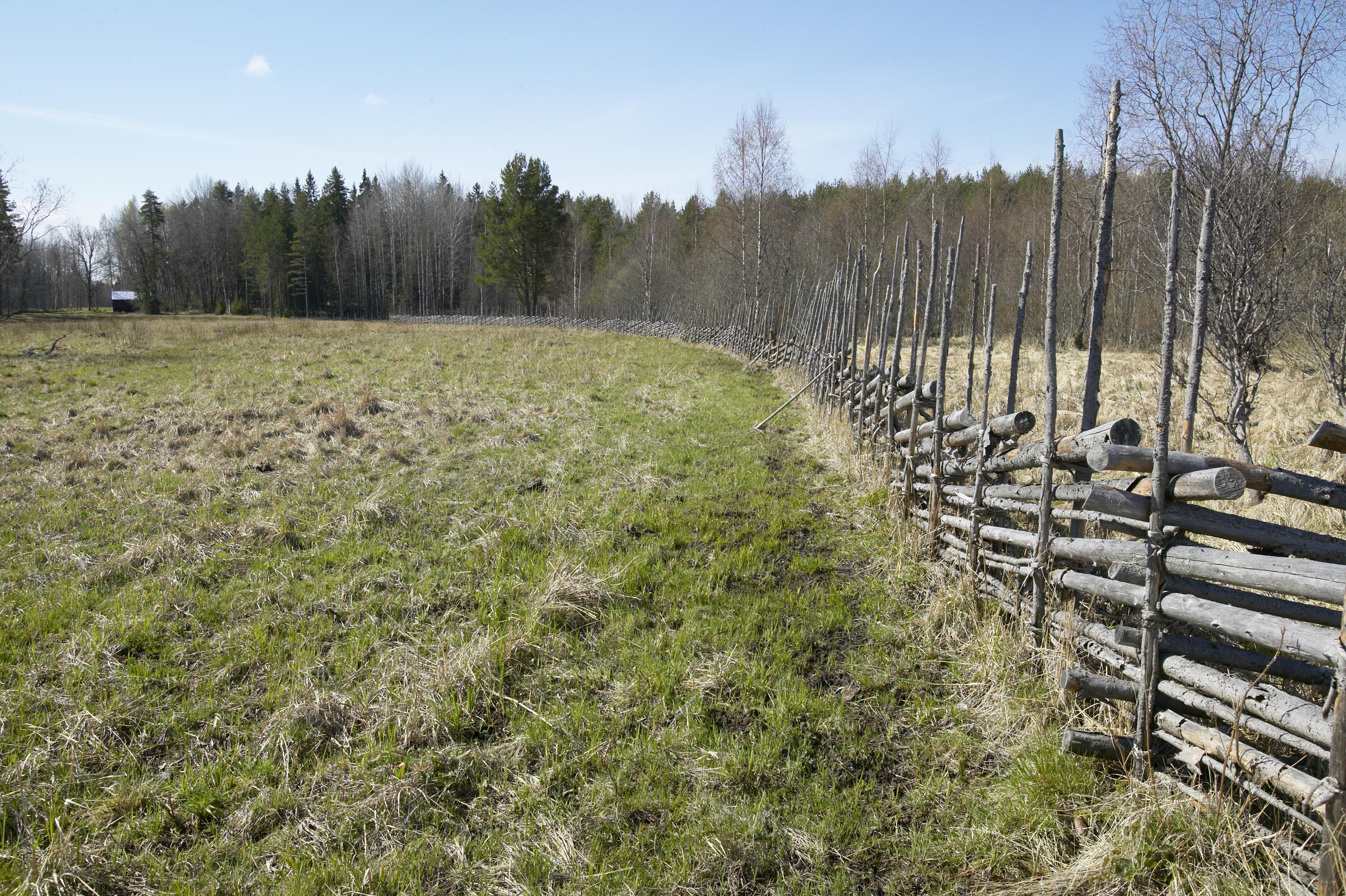 Bengt A Lundberg, Bredforsen
