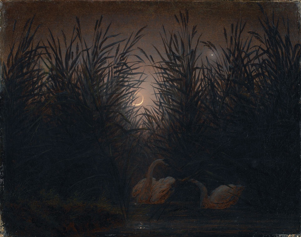 Caspar David Friedrich, Schwäne im Schilf