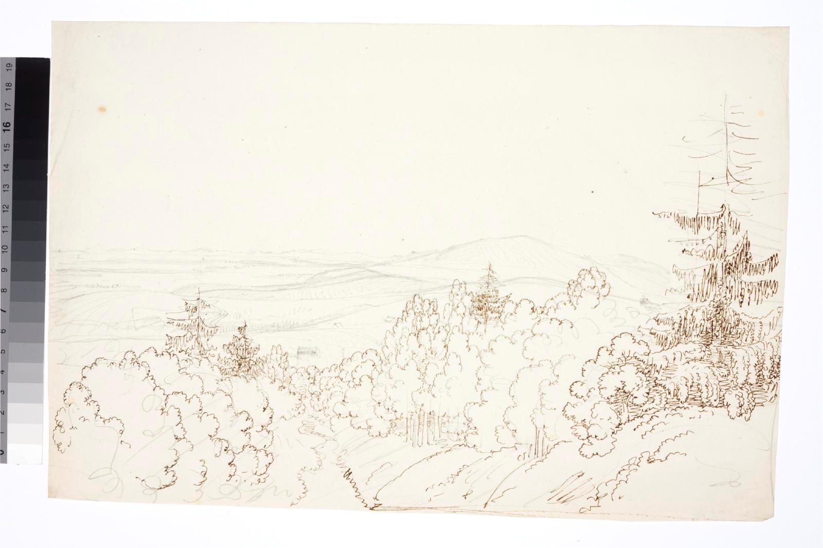 tundmatu kunstnik (autor), Barbed landscape in foreground with deciduous and coniferous trees