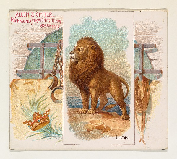 Allen & Ginter, Lion, from Quadrupeds series (N41) for Allen & Ginter Cigarettes