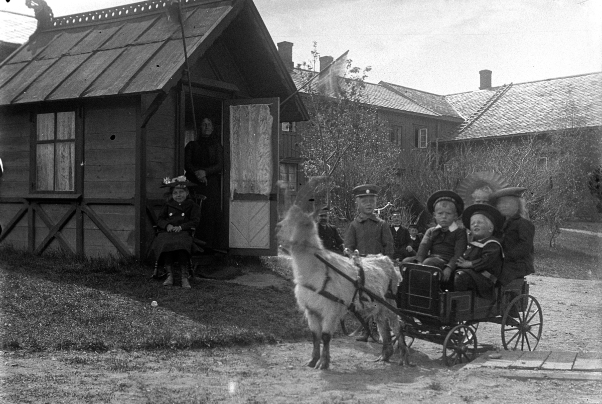 Johannes Larsen Alhaug, Tre barn i ei kjerre trukket av ei geit. Andre personer i bakgrunnen. Tynset.