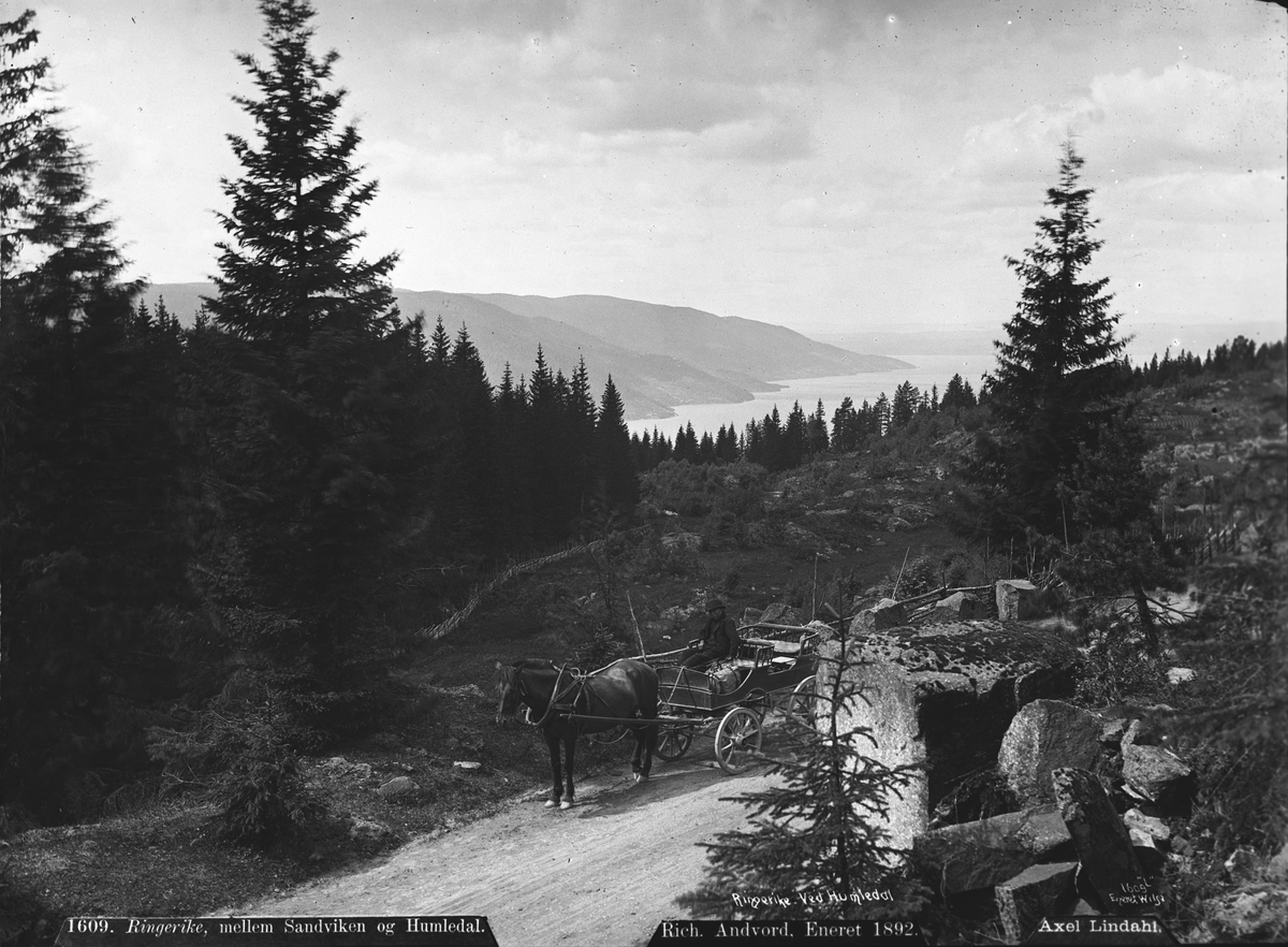Axel Lindahl, Prot: Ringerike mellem Sandviken og Homledal Neg: Ringerike ved Humledal