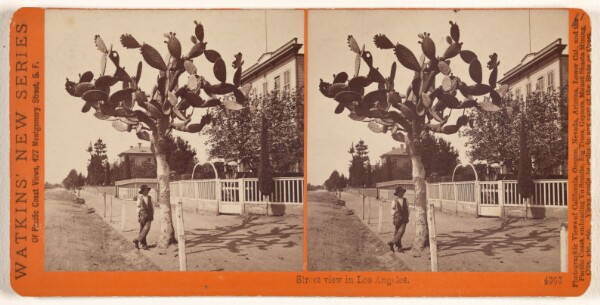 Carleton Watkins, 4365- Street View in Los Angeles.