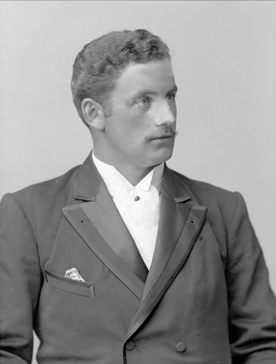 Gustav Borgen, NFB.31713