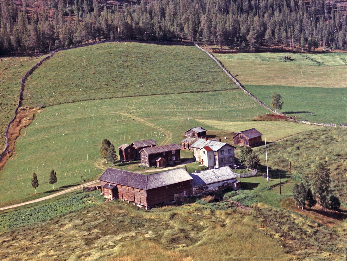 Widerøes Flyveselskap A/S, Gårdsbruk.