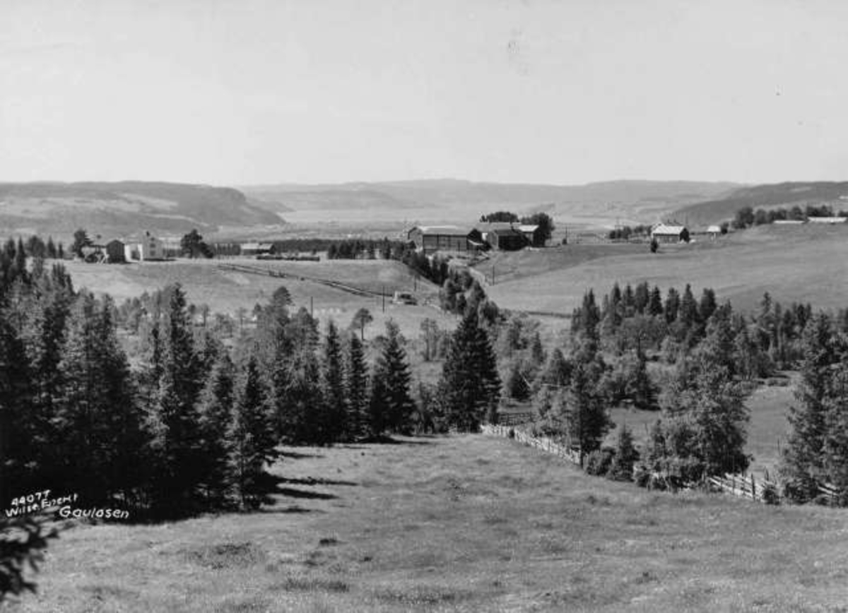 Anders Beer Wilse, Gaulosen 1936 Trondheim