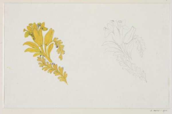 Unknown, Drawing