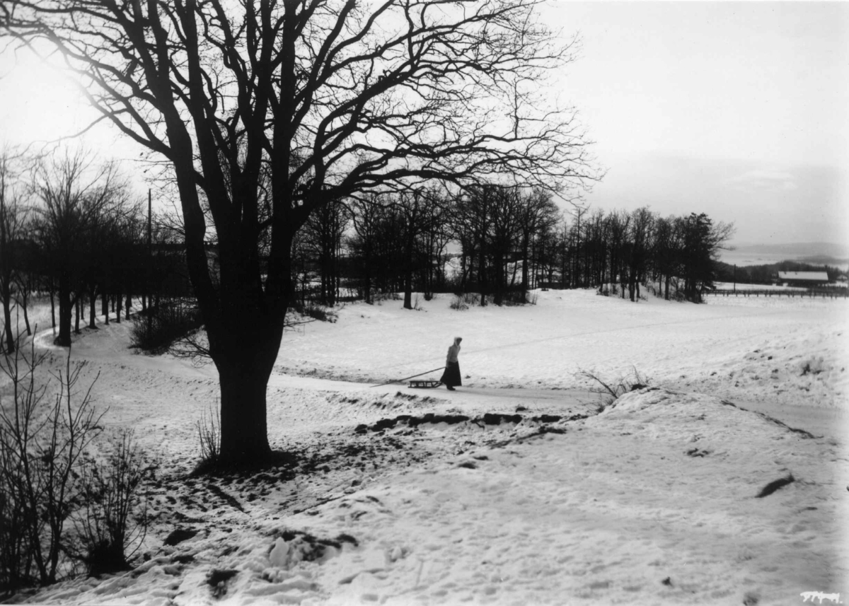 Hermann Christian Neupert, Ris, Oslo. 1908. Vintermotiv. Landskap. Jorder. Trær. Kvinne med kjelke.