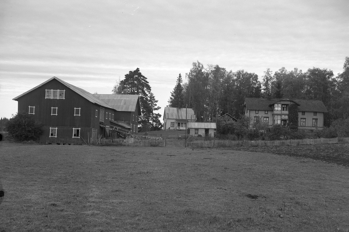 Anno Domkirkeodden, EKSTR: GARDSTUN, BIRKELY, LØTEN. Se Løtenboka, bind 1. Bygdeboka fra 1949, side 45.