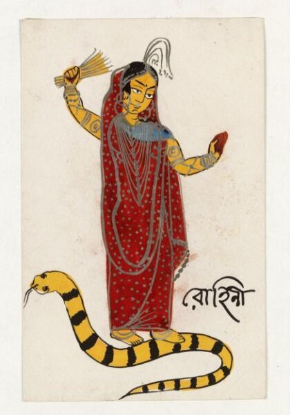 Unknown, Rohini