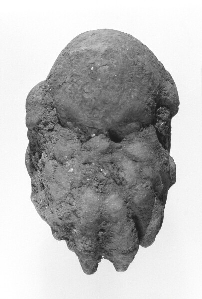 Unknown, Head of a Comic Actor