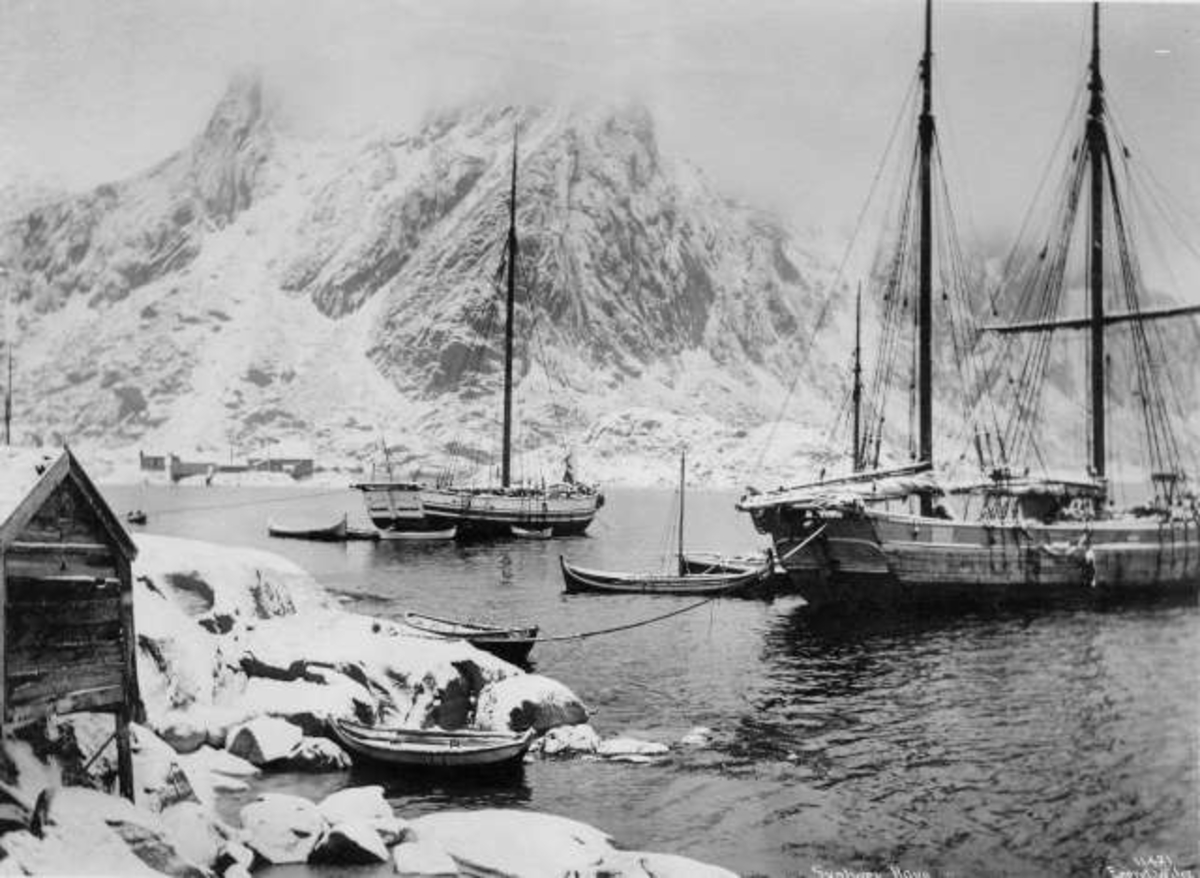 Anders Beer Wilse, Seilbåter-skuter