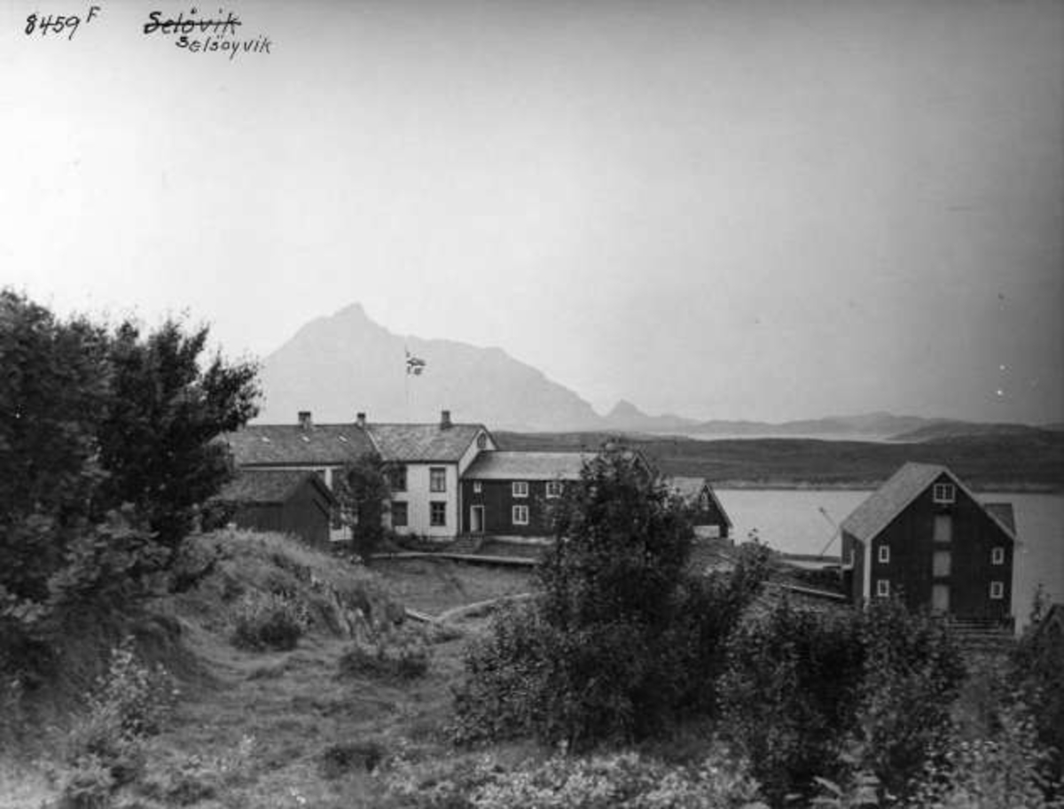 Anders Beer Wilse, -5827