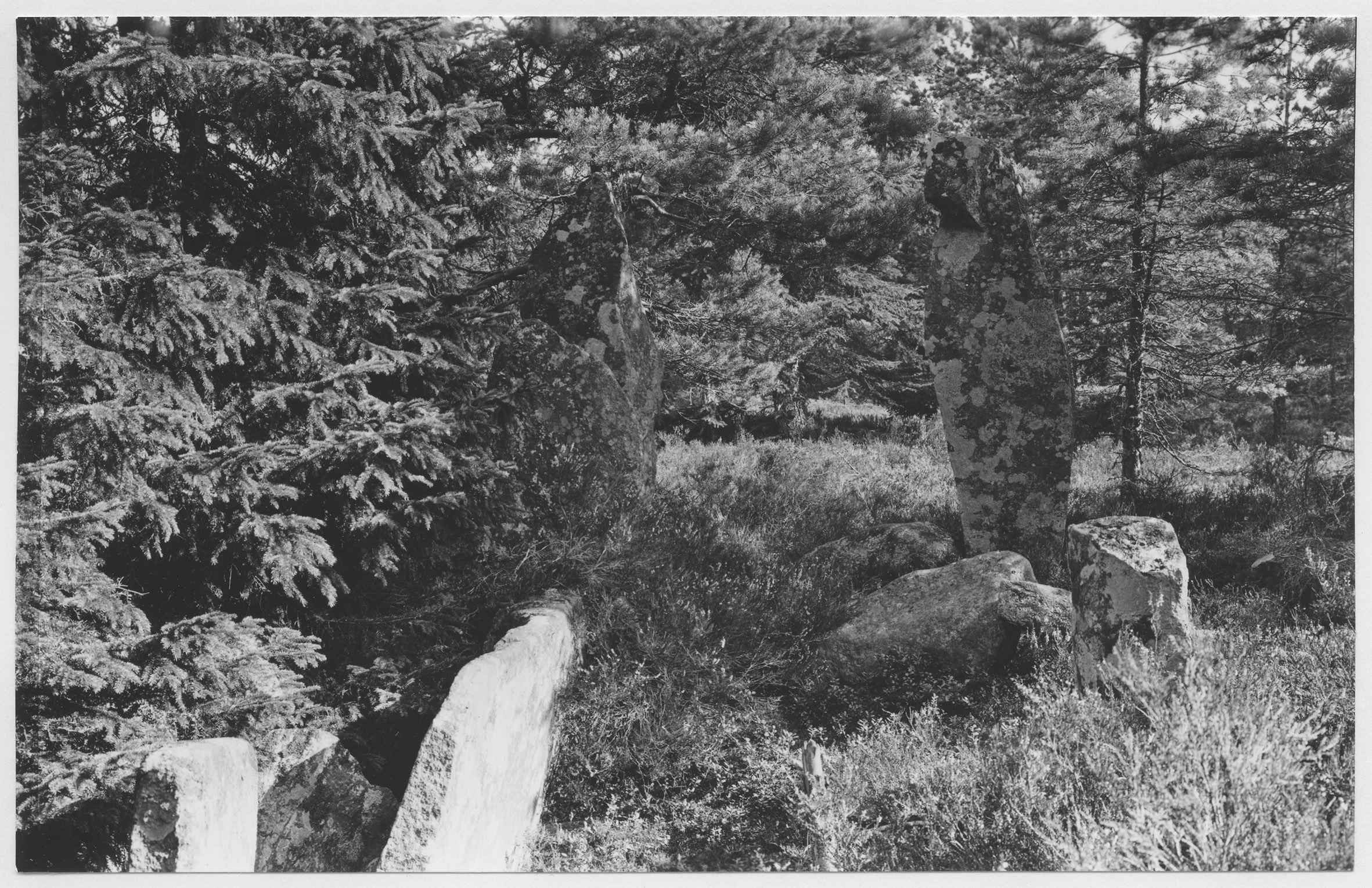 Mårten Sjöbeck, Hällekind