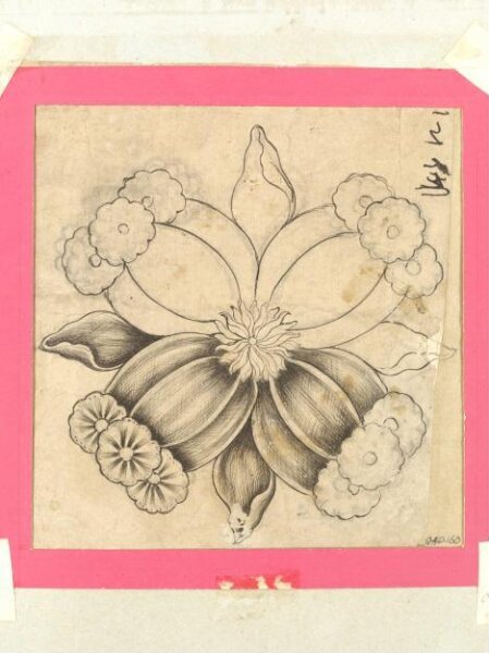 Unknown, Drawing
