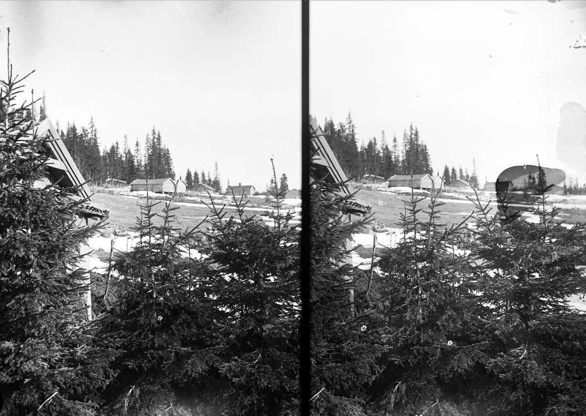Axel Quinsgaard Wiborg, Holoa seter, Hadeland, Jevnaker, Oppland, 1906.