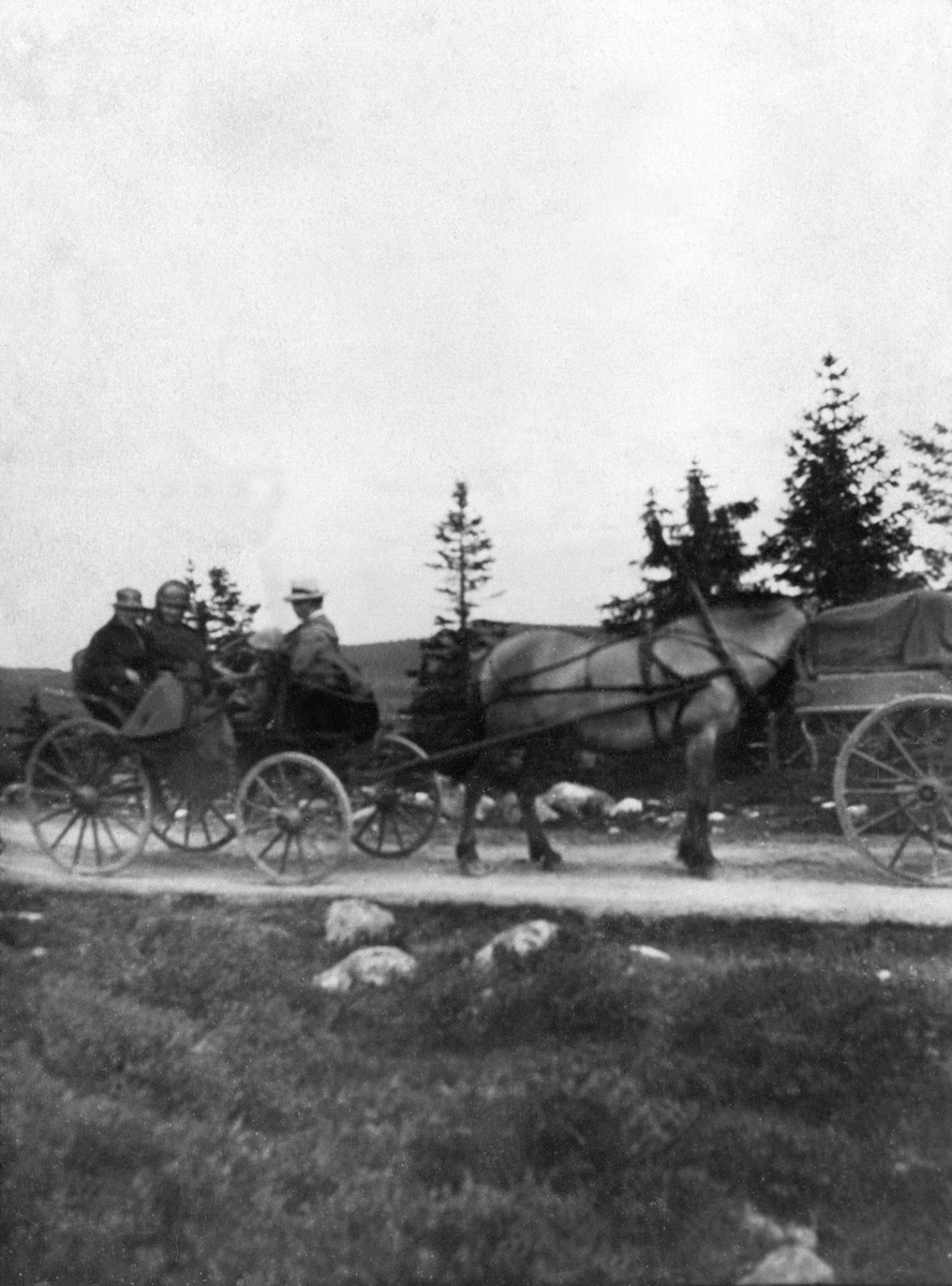 Anno Domkirkeodden, HEST MED TRILLE PÅ FJELLVEG, HESTEN "GRÅEN", TUR TIL BRENNSETRA, KVEBERG SETER, HVEBERG