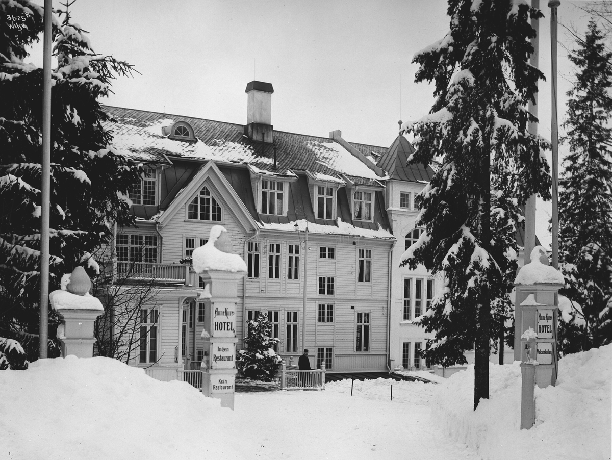 Anders Beer Wilse, Prot: Anne Kures Hotel Indkjörsel