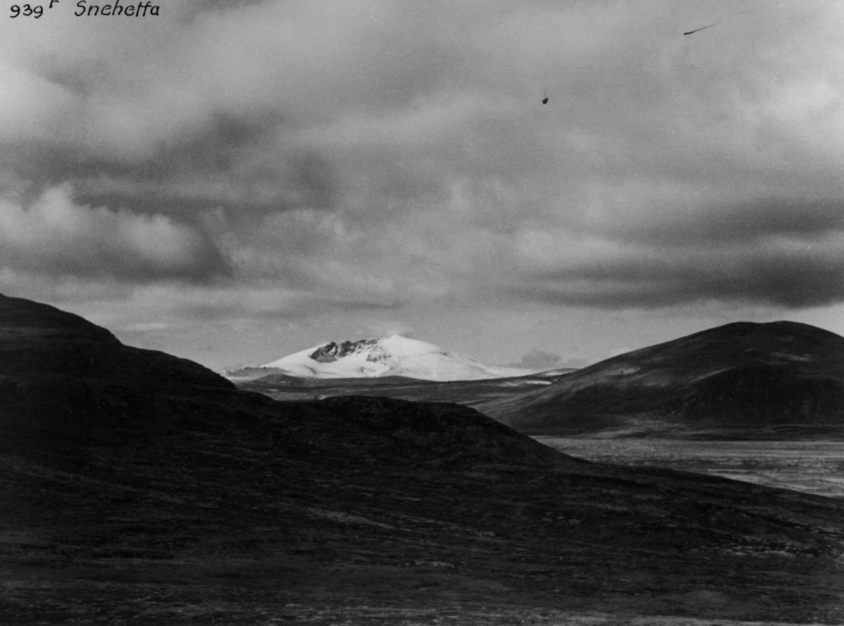 Anders Beer Wilse, Snohetta, Dovrefjell