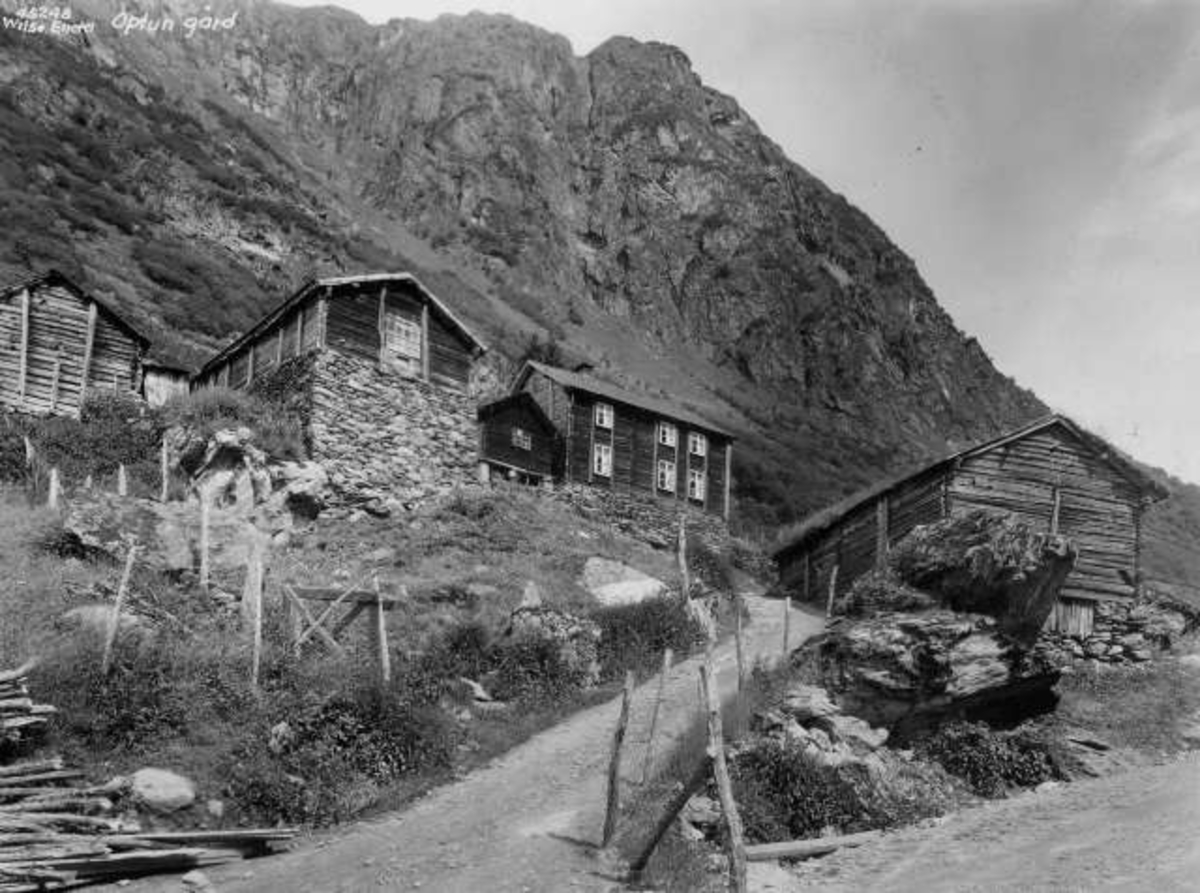 Anders Beer Wilse, -7215