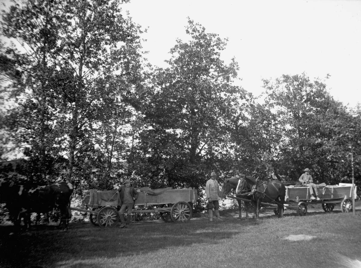 Anna Wilhelmina Hedström, School colony, 1920s. The Plates of Josef Grankvist.