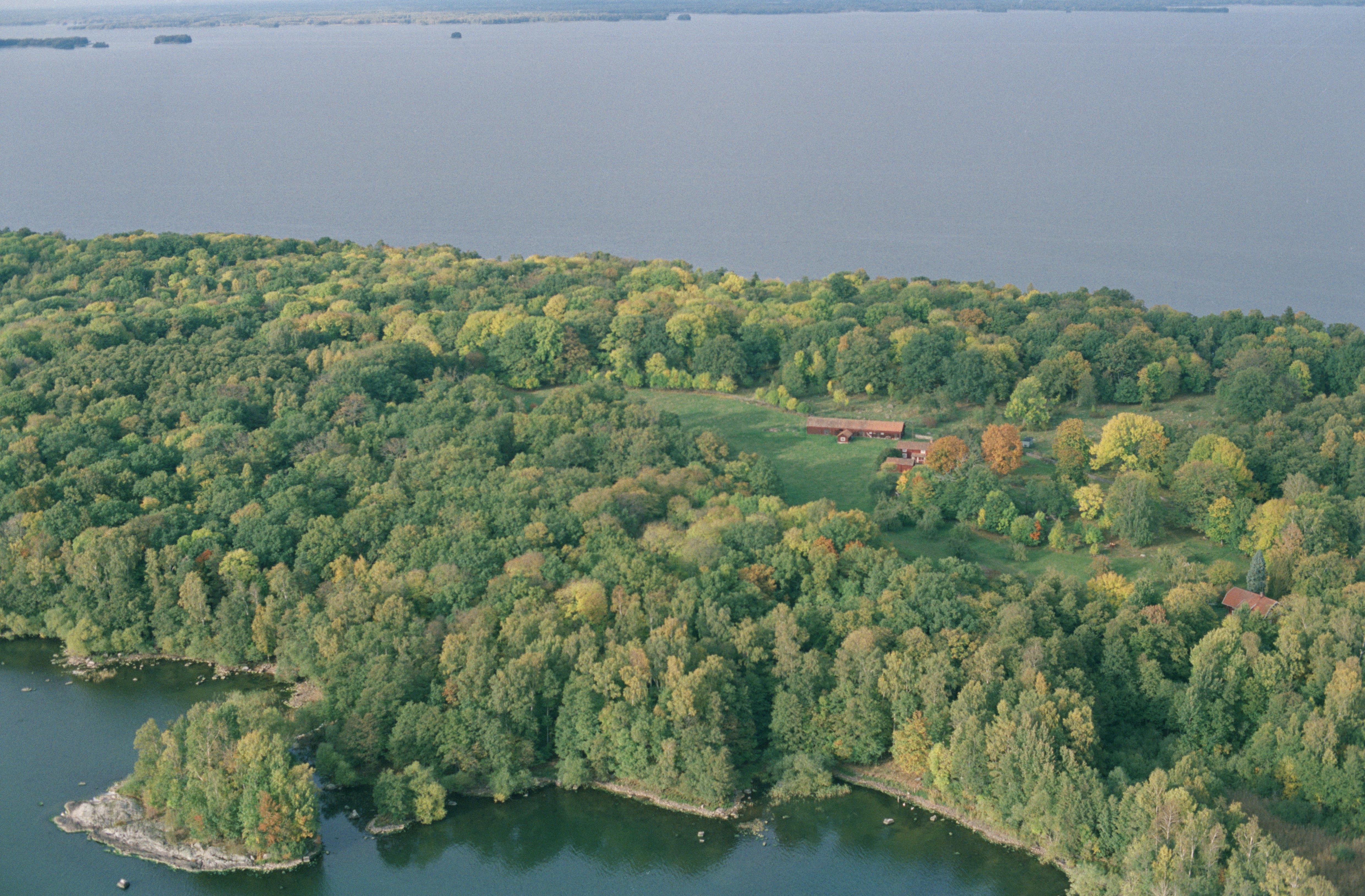 Jan Norrman, Tåkenön