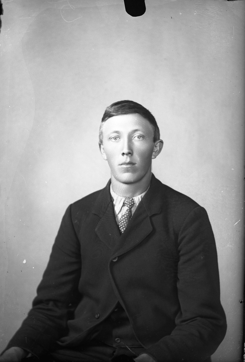 Oscar Holte, Portrett av ung mann