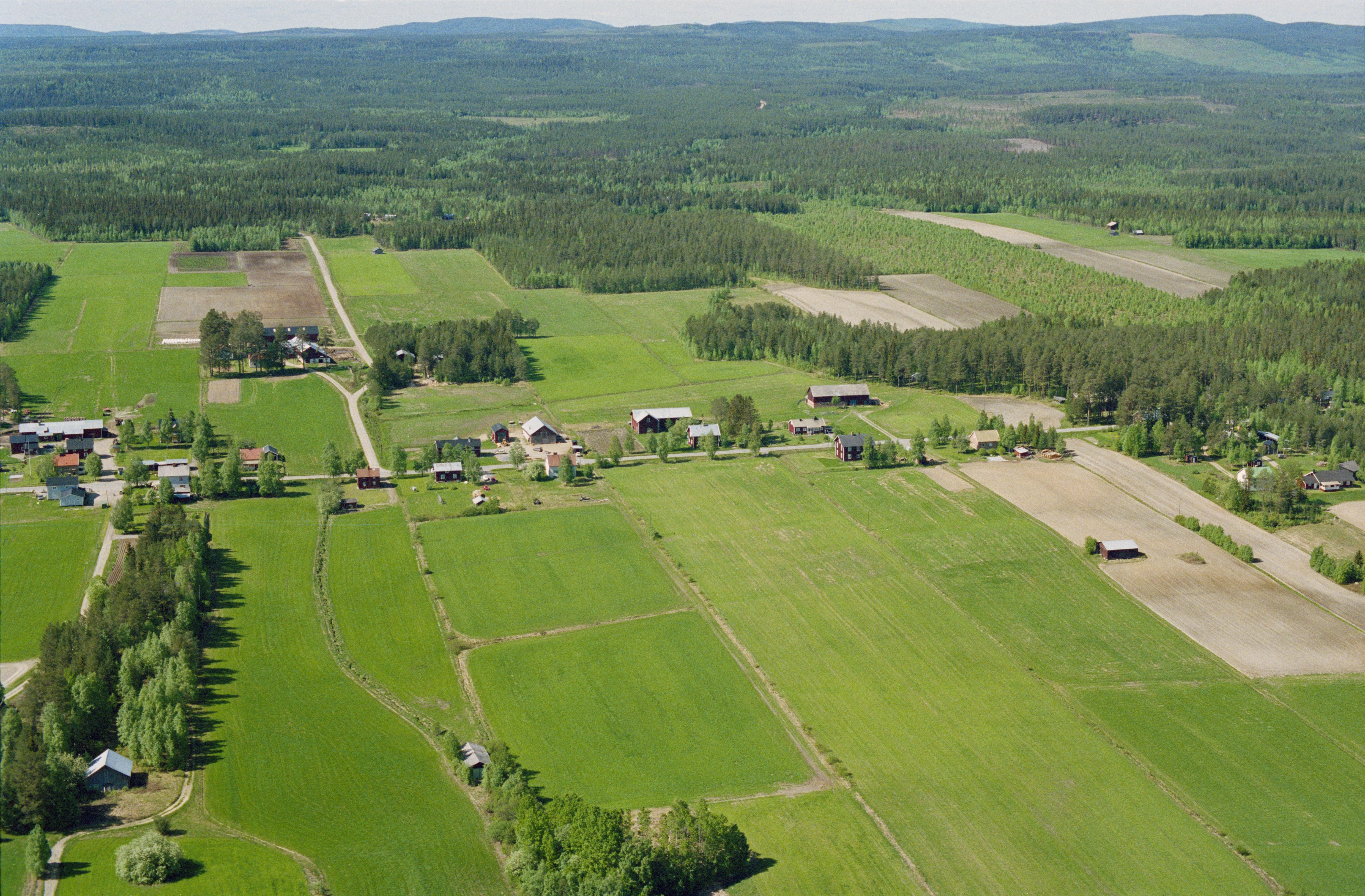 Jan Norrman, Örträsk 36:1
