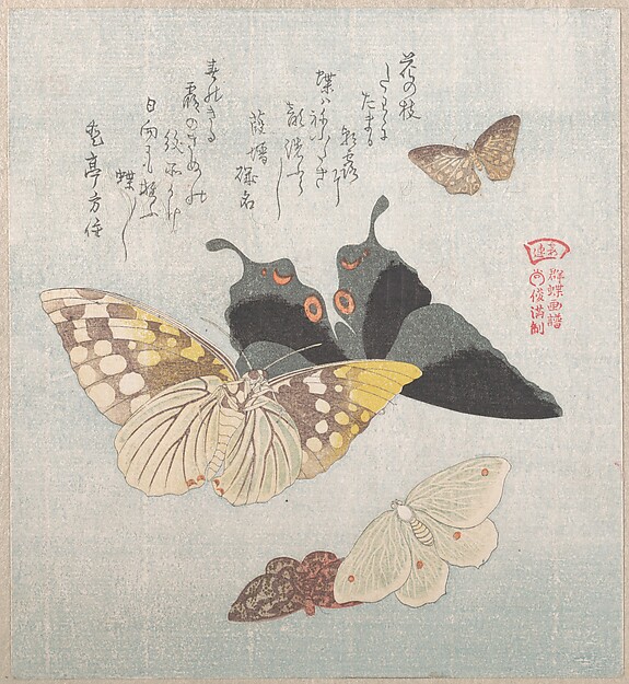 Kubo Shunman, Various moths and butterflies