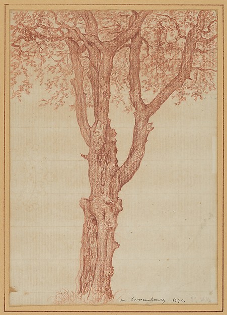 Pierre Henri de Valenciennes, Study of a Tree in the Luxembourg Gardens