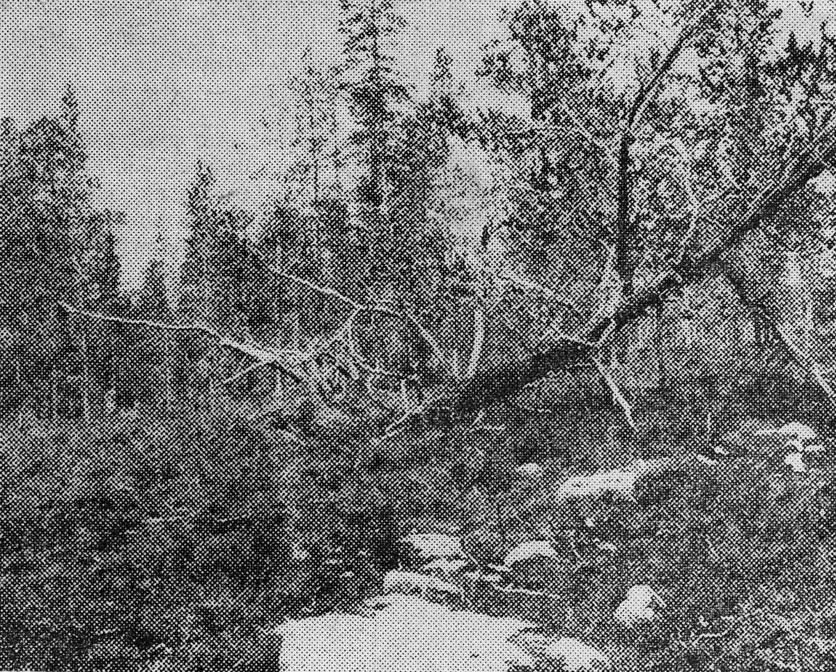 Adolf Skjegstad, Naturforhold. Solvang, Tufsingdalen