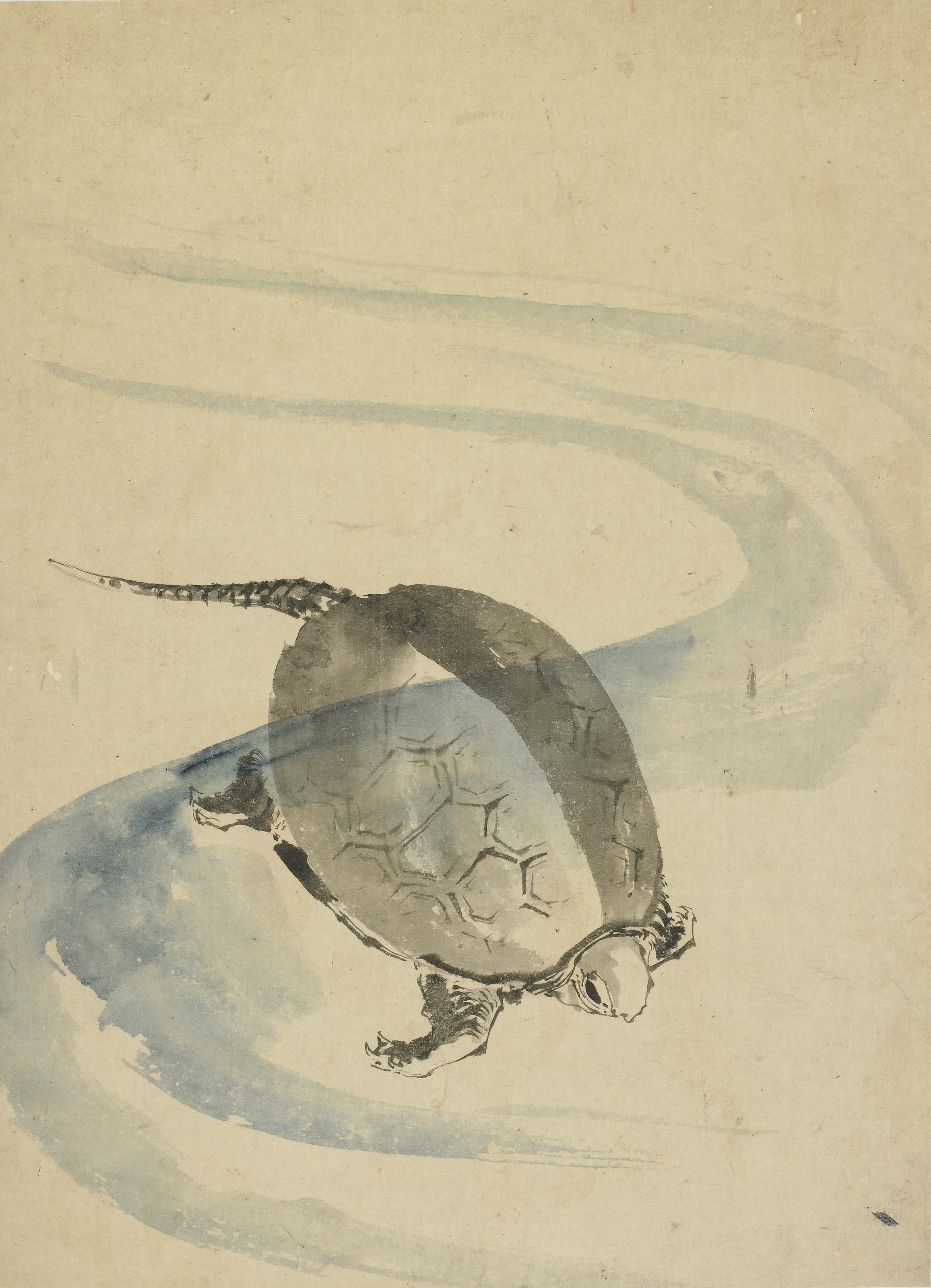Katsushika Hokusai, A Tortoise