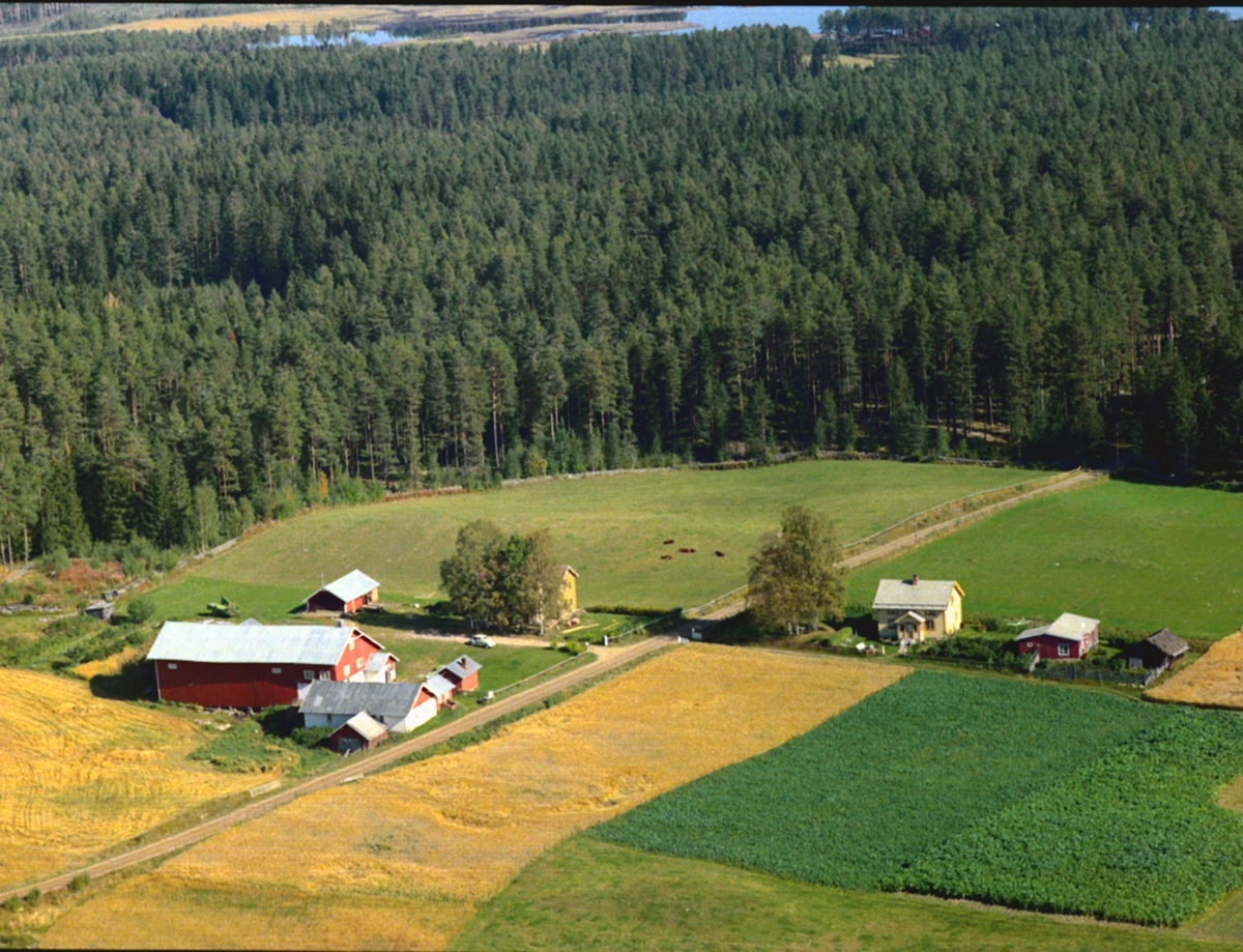 Widerøes Flyveselskap A/S, FLYFOTO. Åtjernsholen, Løten