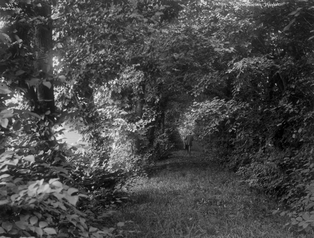 Anders Beer Wilse, Skrivergård, Mandal 2.