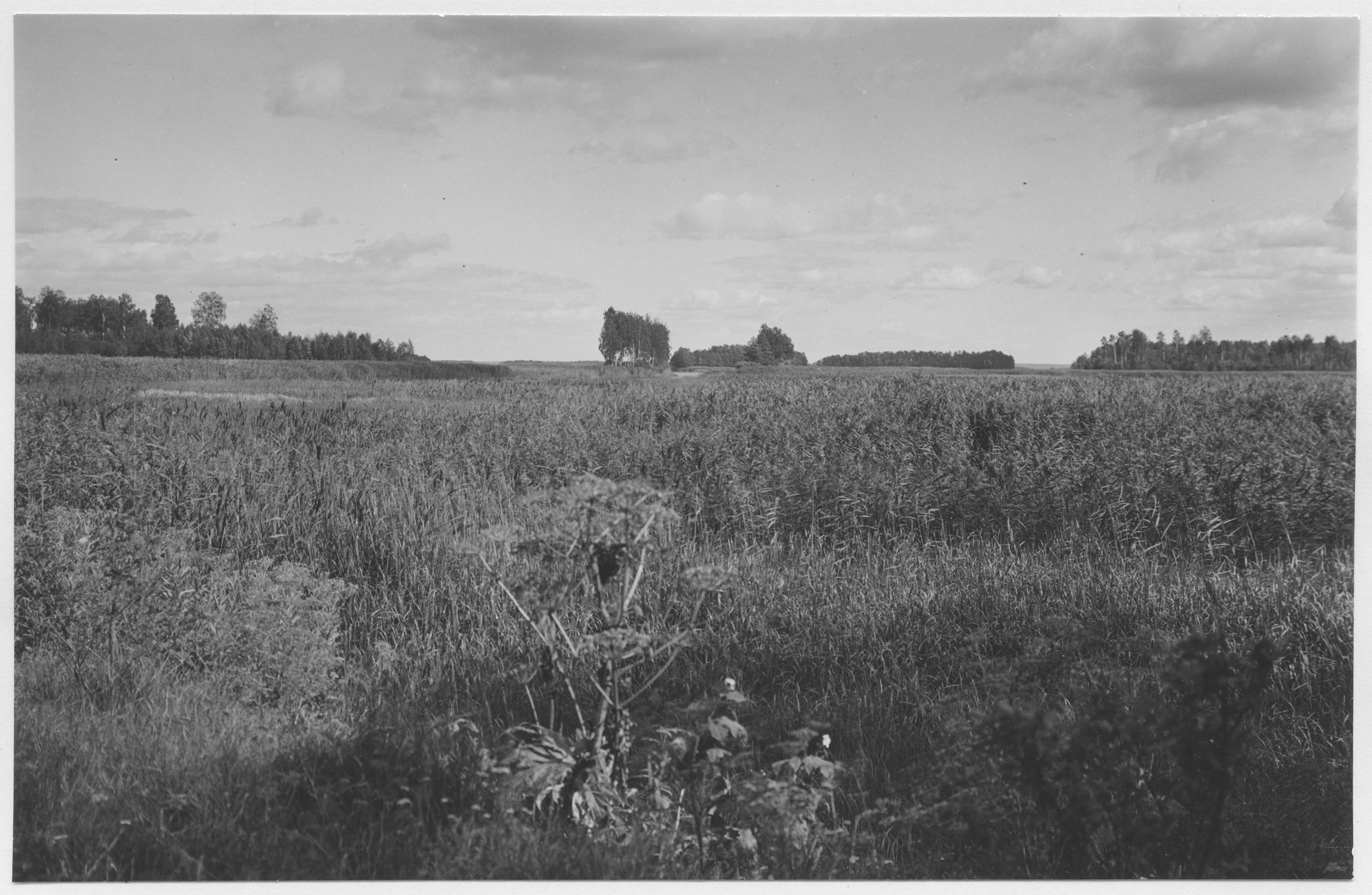 Mårten Sjöbeck, Segersjö