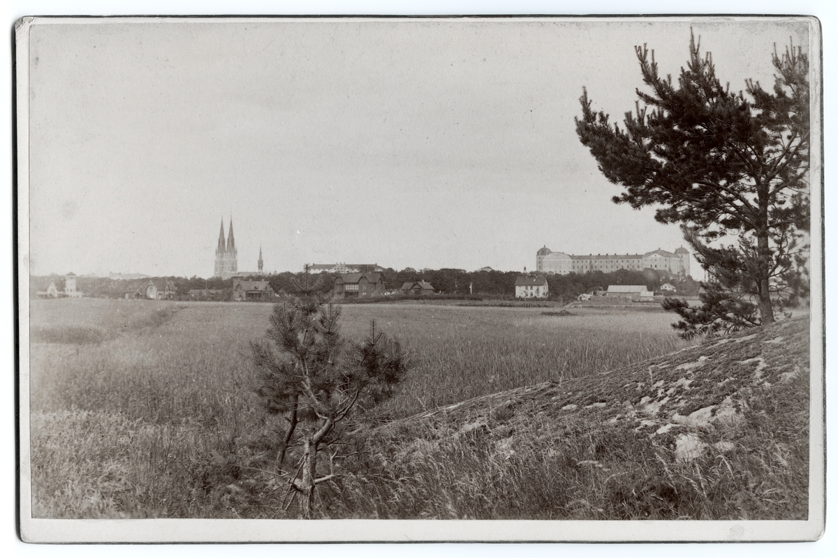 Henri Osti's Fotografiateliér, Uppsala från väster före 1914