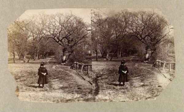 Clementina, Lady Hawarden, Photograph