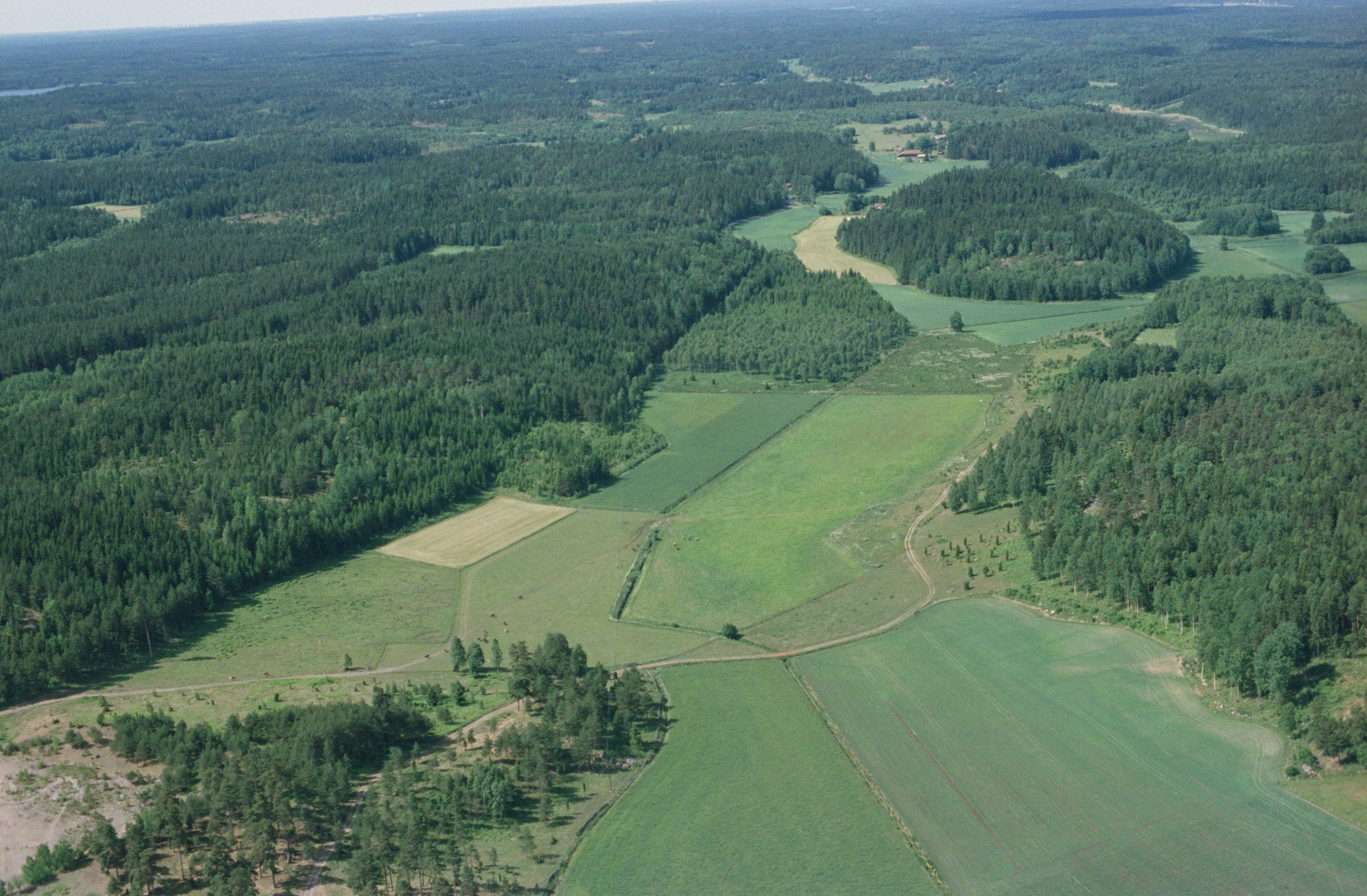 Jan Norrman, Riala 116:1