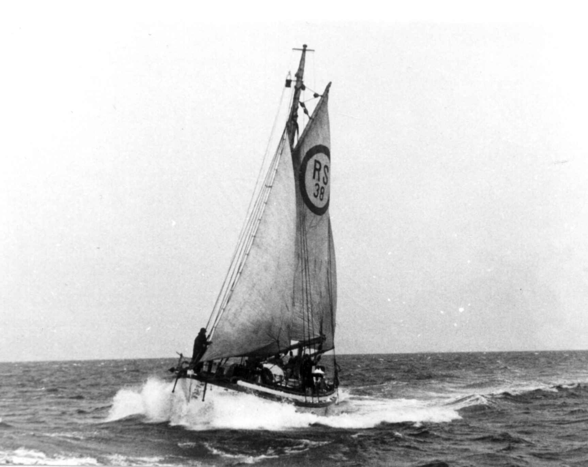 Anders Beer Wilse, Lofotfiske