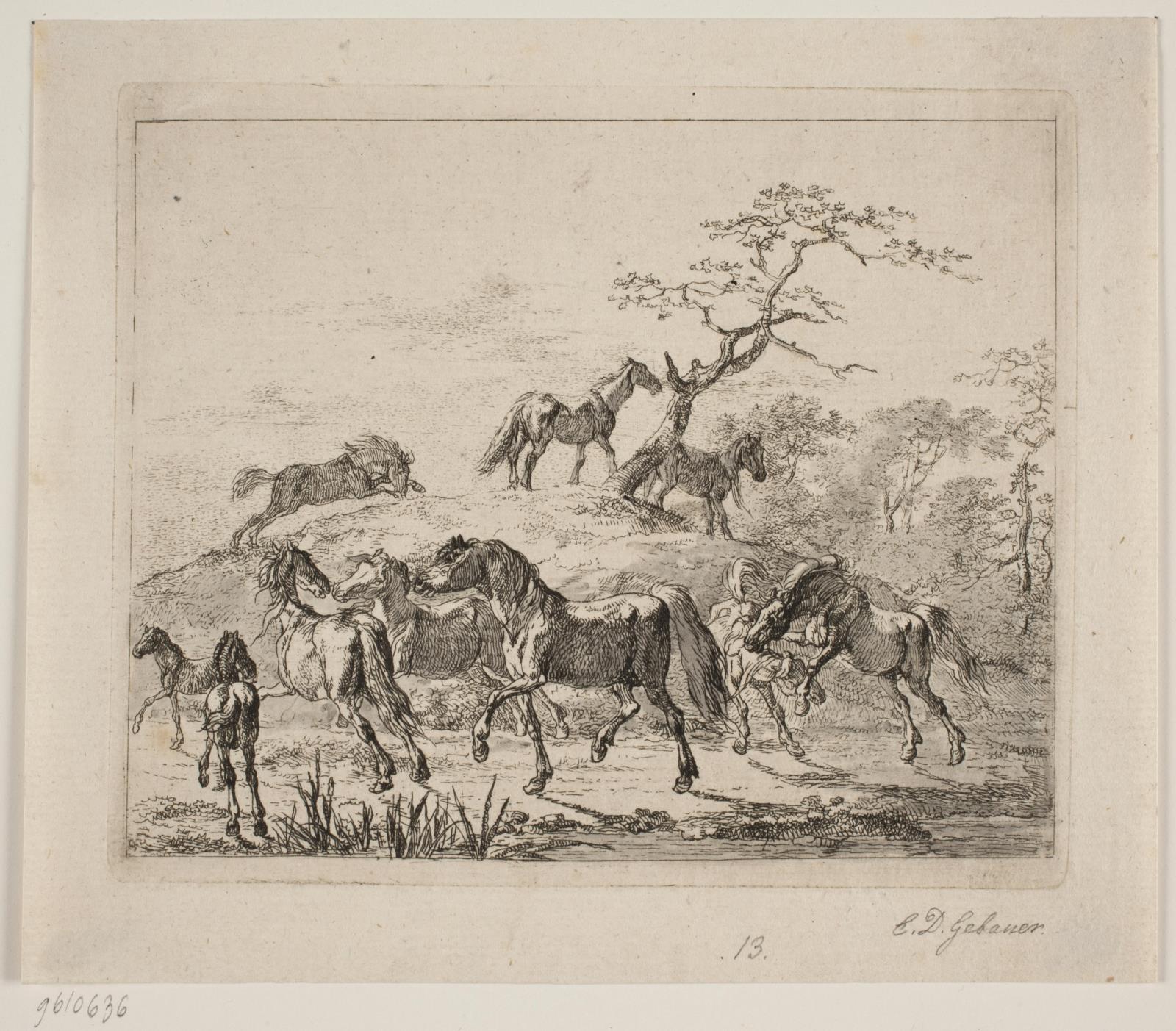 Christian David Gebauer, Stutteriheste