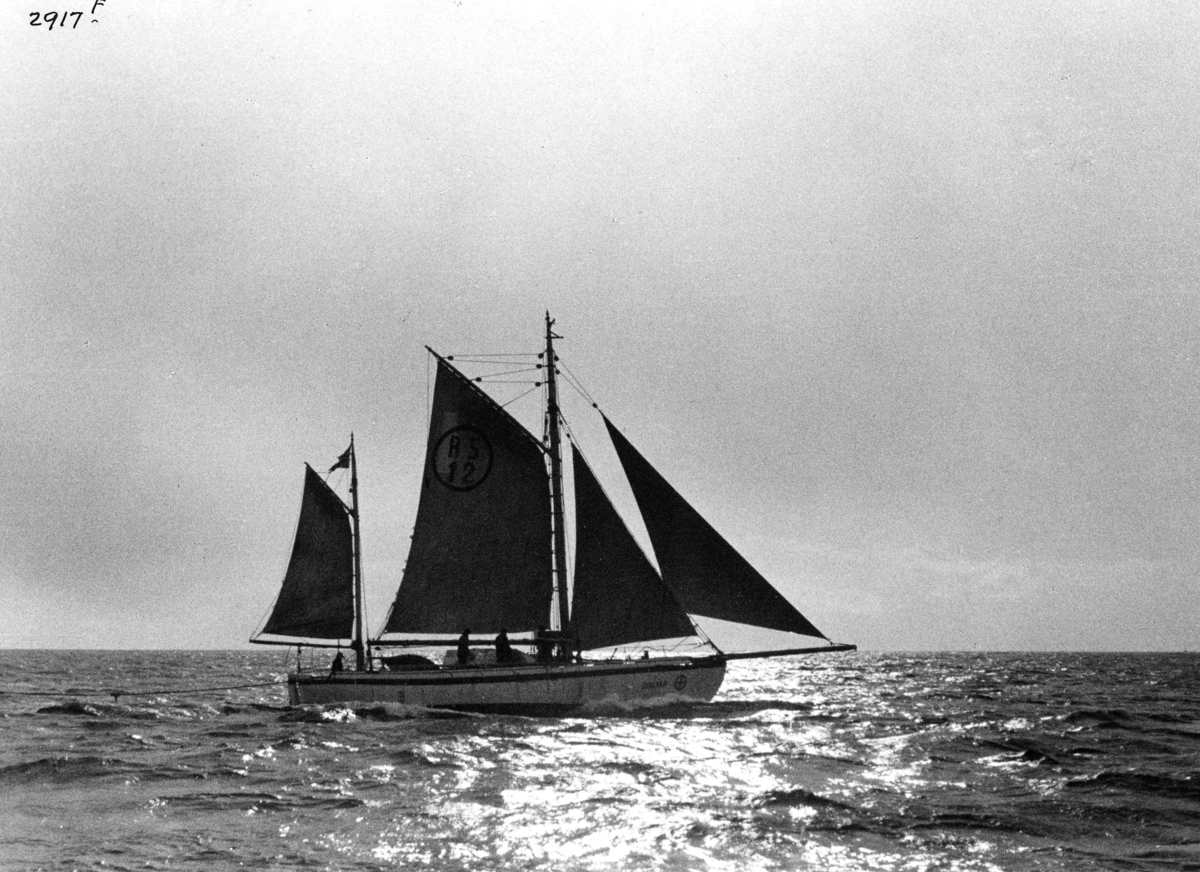 Anders Beer Wilse, Redningsskoyter