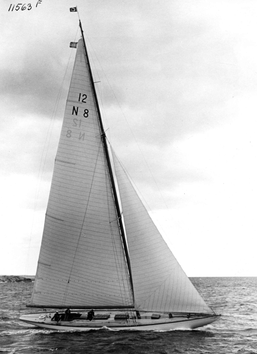 Anders Beer Wilse, Seilsport