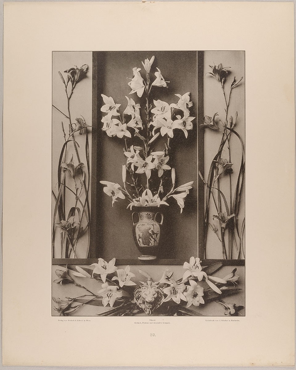 Martin Gerlach, 39. Füllungen und Vignette aus weissen und Feuer-Lilien mit Vase und Löwenkopf