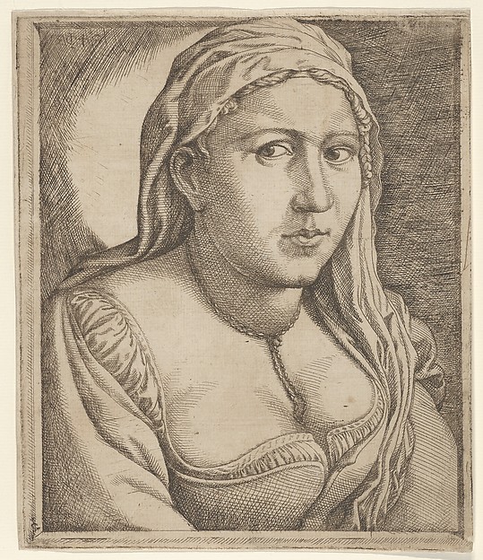 Jan Cornelisz Vermeyen, Woman with a Veil