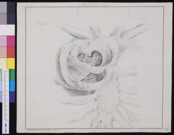 M Houtman, Unidentified subject