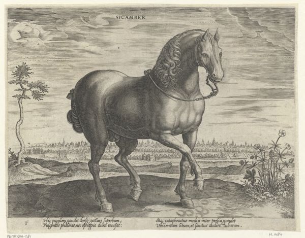 Collaert, Hans, (approximately 1530-1581), (printmaker), The stable of Don Juan of Austria: Sicamber